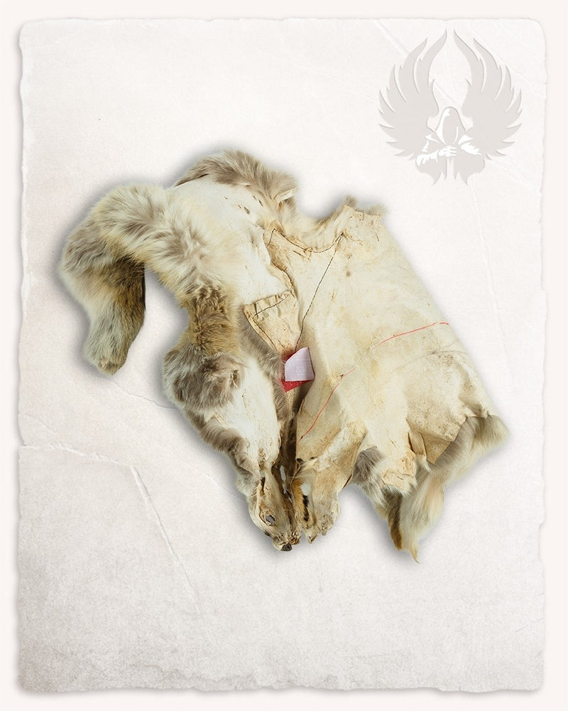 Bontkraag vos, bruin