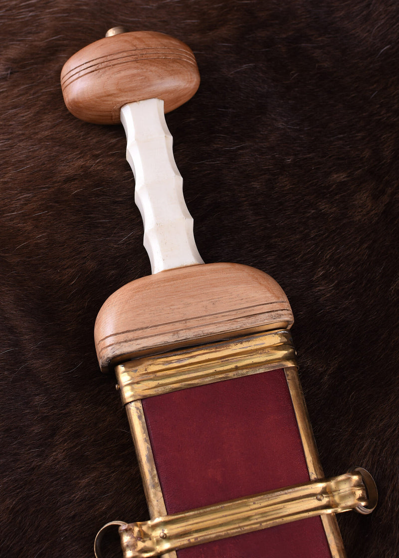 Gladius Mainz met palmet, semi-scherp