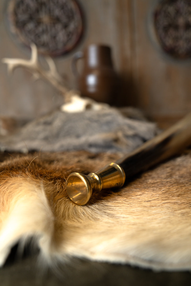 Vroeg-middeleeuwse roephoorn