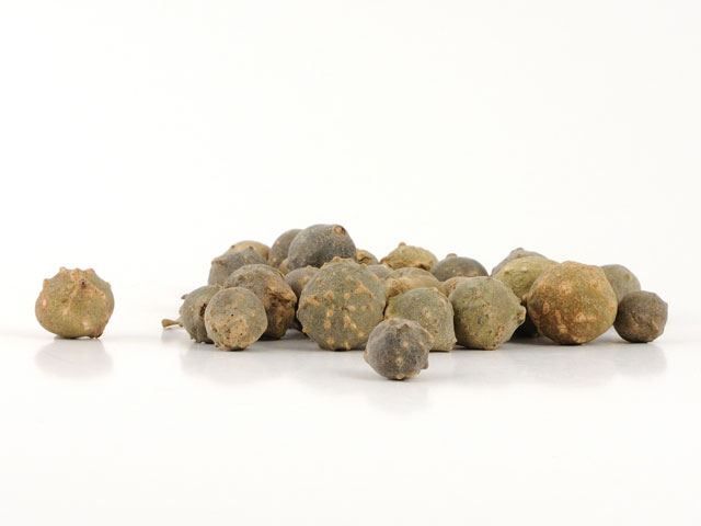 Galappels voor inkt (80 gram)