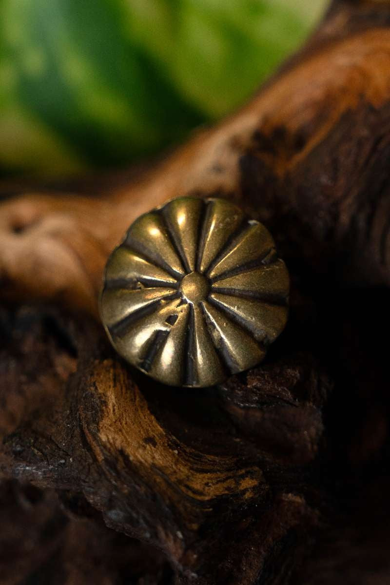 Middeleeuws riembeslag met rozet (set van 5 stuks), messing