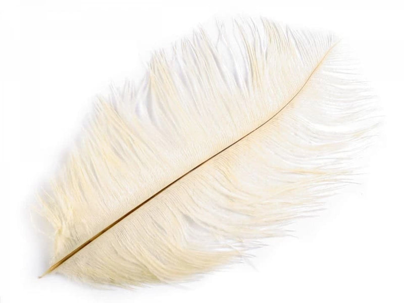 Pluma crema, 20-25 cm 