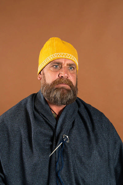 Mannen in de Vikingwereld