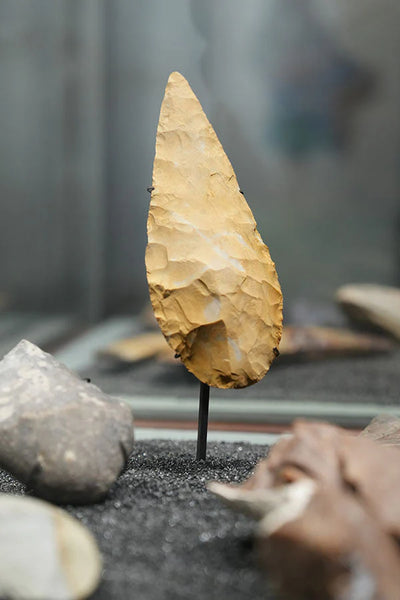 Introductie: Laat-Paleolithisch Europa