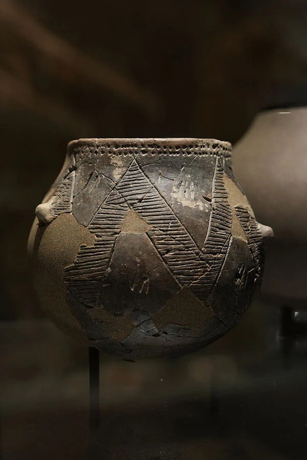 Introductie: Neolithisch Europa