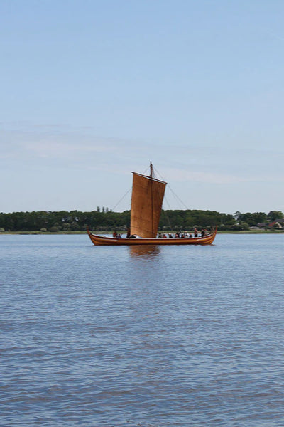 De Vikingen
