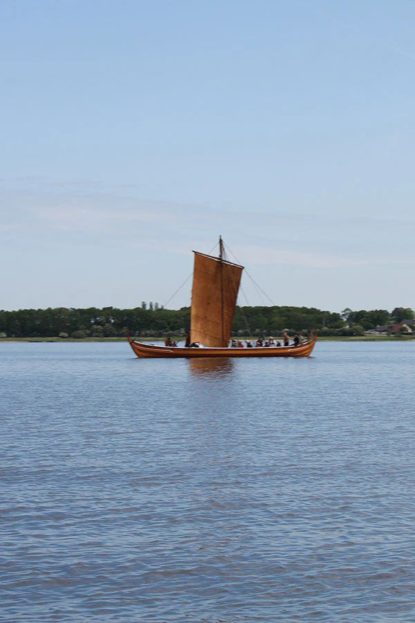 De Vikingen